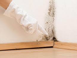 Best Commercial Mold Inspection  in Ozona, TX